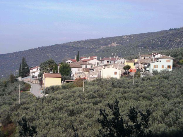 FOTO 09 S Stefano dei P fra ulivi